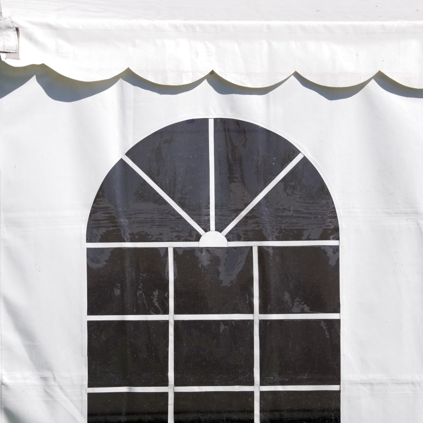 carpa-carpatop